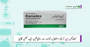 Read more about the article Kanadex N Cream Uses in Urdu & Side Effects – کانڈیکس این کریم