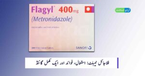 Read more about the article Flagyl Tablet in Urdu – استعمال، فوائد، اور احتیاطی تدابیر