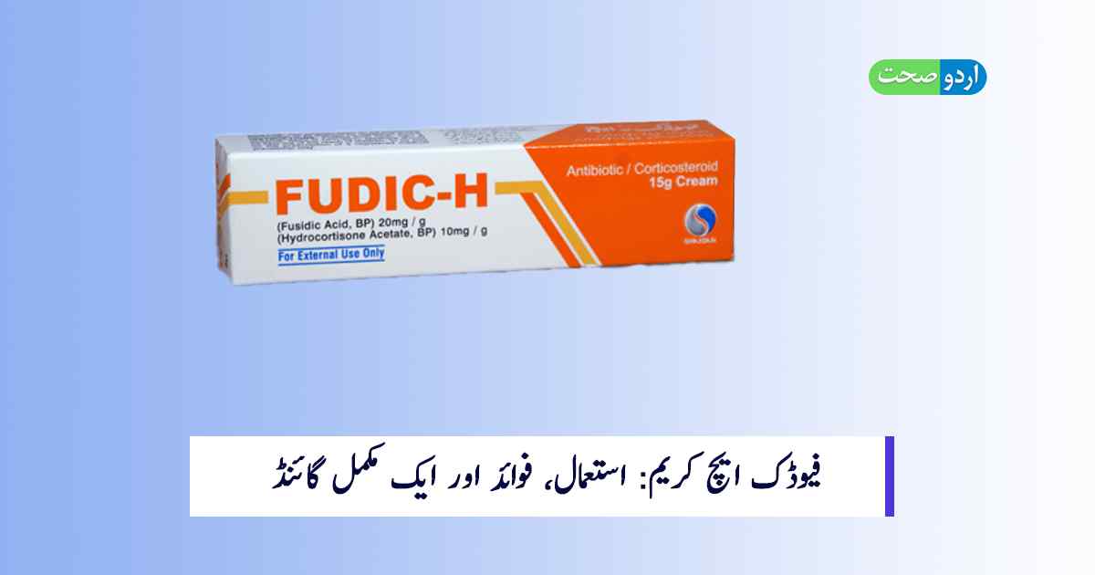 Read more about the article Fudic H Cream in Urdu – استعمال پرمکمل گائیڈ